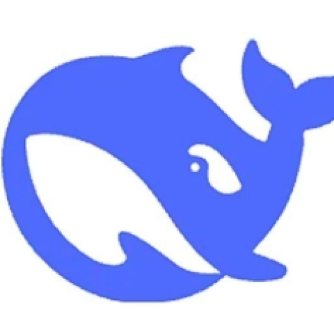 DeepSeek